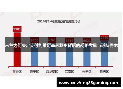 米兰为何决定支付约维奇高额薪水背后的战略考量与球队需求