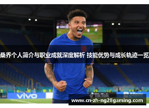 桑乔个人简介与职业成就深度解析 技能优势与成长轨迹一览