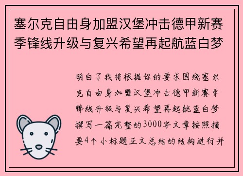 塞尔克自由身加盟汉堡冲击德甲新赛季锋线升级与复兴希望再起航蓝白梦